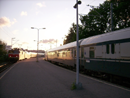 junabongailua5